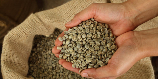 Provide Green Coffee Beans